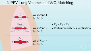 Pulmonary Mechanics in NonInvasive Positive Pressure Ventilation by B McAlvin  OPENPediatrics [upl. by Hachman538]