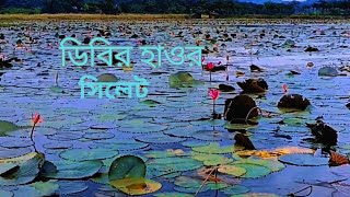 ডিবির হাওর সিলেট  Dibir Haor Sylhet  নৈসর্গিক সৌন্দর্যের লীলাভূমি সিলেট [upl. by Faunie704]