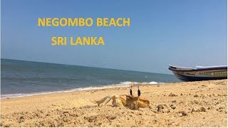 NEGOMBO BEACH SRI LANKA [upl. by Lrac]