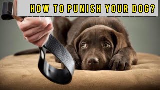 How to PUNISH your dog [upl. by Rintoul]