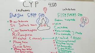 Liver enzymes inducers and inhibitors [upl. by Kaazi660]