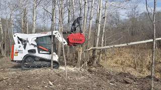 Bobcat T770 with Fecon Forestry Mulcher Part1 [upl. by Perzan]