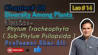 Phylum Tracheophyta Psilopsida chapter 8th by Professor Sher Ali [upl. by Harty]