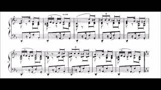 Bizet  Habanera from Carmen  Cyprien Katsaris Piano [upl. by Thia]