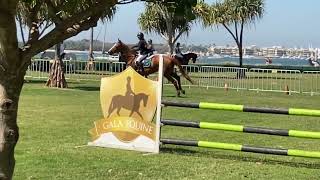 EQUESTRIAN COMPETITION 1 AT THE GOLD COAST SHOWhorses equestrian goldcoastaustralia [upl. by Yemaj]