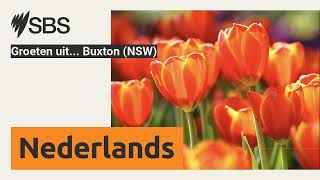 Groeten uit Buxton NSW  SBS Dutch  SBS Nederlands [upl. by Carisa]