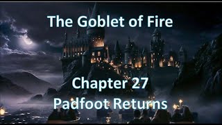 ⚜Harry Potter⚜ Audio in Korean  The Goblet of FireChapter27 Padfoot Returns [upl. by Haman]