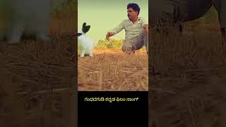 Gandhada gudi film song Kannada [upl. by Osterhus387]