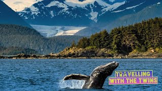 Whale watching in Juneau Alaska [upl. by Nosak]