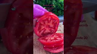 Baqlajonli zakuska 🍆😋 avtorVkusnobySeva youtube food recipe cooking instagram tiktok new [upl. by Enileve73]