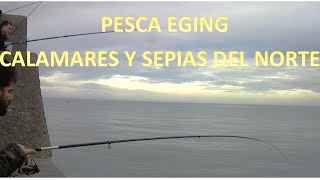 PESCA EGING EN EL NORTE buscando calamares y sepias [upl. by Analad]