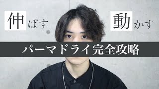 【印象の違い】メンズパーマの乾かし方2パターンを美容師が徹底解説【くせ毛もOK】 [upl. by Alic352]