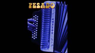 𝖳𝖺𝗇 𝖻𝗈𝗇𝗂𝗍𝖺 𝗊𝗎𝖾 𝗌𝖾 𝗆𝗂𝗋𝖺 acordeon acordeones acordeonista pesado [upl. by Nerine496]