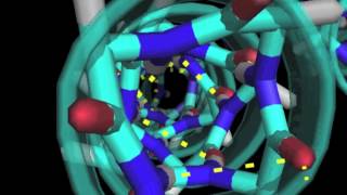 Alpha helix basics [upl. by Notlrac]