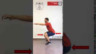 Flexión Extensión Rodilla def [upl. by Esereht]