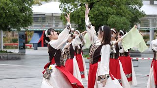 【公式】実践女子大学YOSAKOIソーラン部WING 2024年度演舞 來空叶 ドリーム夜さ来い祭り112石と光の広場会場 [upl. by Alexandrina]