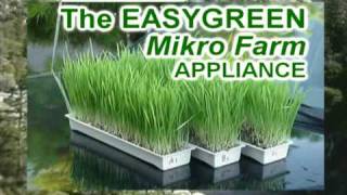 EasyGreen Automatic Sprouter Mikro Farm [upl. by Atul341]