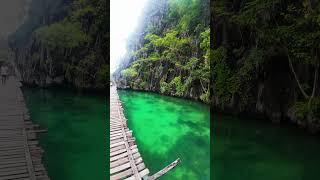 Pathway to KAYANGAN LAKE coron palawan  youtubeshorts philippineadventures videoshort [upl. by Nnaeirrac]