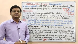 Anthelmintic Drugs Part06 Final Niclosamide amp Praziquantel Mechanism of Action  Anthelmintic [upl. by Daugherty]