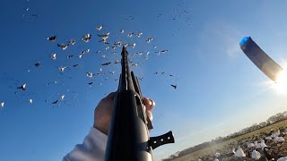 Spins of SNOW GEESE in our Faces Epic Snow Goose Hunt [upl. by Sivle622]