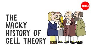 The wacky history of cell theory  Lauren RoyalWoods [upl. by Nod122]