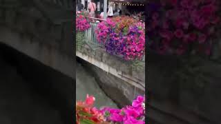 Chamonix town centre vlog travel family beautiful views mountains bowling holiday [upl. by Migeon]