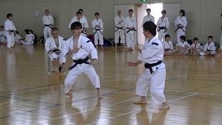 Shorinji Kempo JAPAN Cool fighters [upl. by Amberly336]