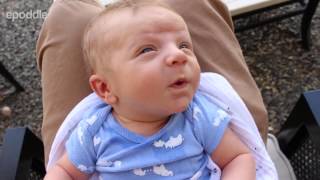 Bad lip reading Adorable newborn baby [upl. by Eddra127]