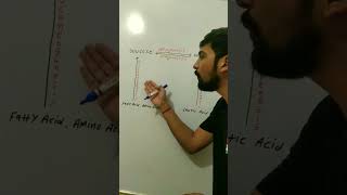 Overview Of Glycogenesis Glycogenolysis Glyconeogenesis Gluconeogenesis biochemistry dadhichsir [upl. by Eelytsirk720]