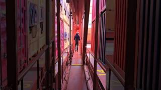 INSIDE the BIGGEST Container Ship [upl. by Eet]