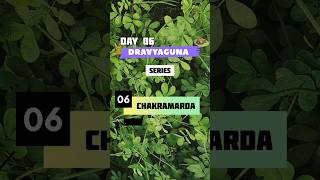 CHAKRAMARDA Dravyaguna series natural ayurvedafacts nature herbshealthylifestyle factsplant [upl. by Nibot586]