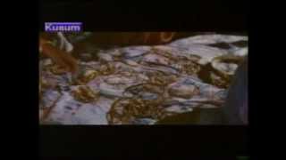 Naag Kanya  Part 1 Of 12  Superhit Rajasthani Movie [upl. by Aglo]