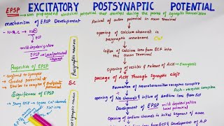 Excitatory Post Synaptic Potential EPSP  Easy Flowchart  Physiology [upl. by Amyas]