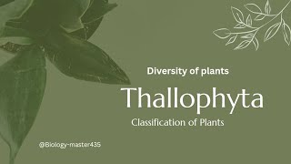 Plant classification Thallophyta  diversity of plants  lower Botany  Bs level  Botanists [upl. by Lanza]