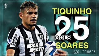 Todos os 25 Gols de Tiquinho Soares pelo Botafogo em 2023 [upl. by Dicks]