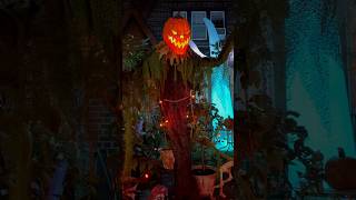 Spanish Speaking Pumpkin Scary Awesome Halloween Spirit Animatronic 2024 youtubeshorts shorts [upl. by Cesare537]