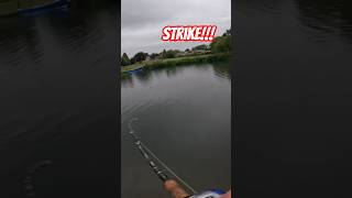 Massive pike hits my big lure but we missed it fishing lurefishing lurefishinguk [upl. by Airdnola]