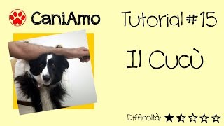 CUCÙ Come insegnare al cane il Cucù  Tutorial 15 [upl. by Atiuqet]