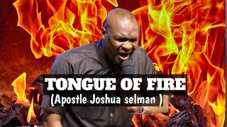 prayer that move mountain Apostle Joshua selman [upl. by Drummond]