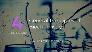 General principles of Biochemistry [upl. by Notterb]