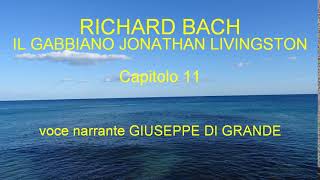 Richard Bach  Il Gabbiano Jonathan Livingston  Capitolo 11 Audiolibro [upl. by Leagiba277]