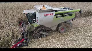 Des chenilles pour répondre au condition climatique Eta Pocholle Claas Lexion 760 [upl. by Irrehs]