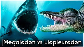 Megalodon vs Liopleurodon  Who Would Win [upl. by Sidnak129]