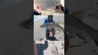 Epic Snook Bite  SilkOcean CAST PE 4 Braided fishing line making the distance while with power [upl. by Hervey]