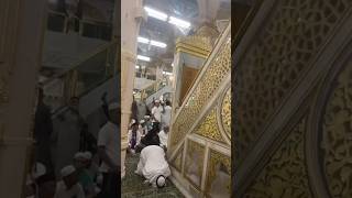 Madina munawwara rawdashariff shorstvideo rawda [upl. by Halyk]