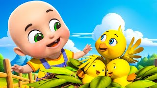 Chidiya Rani Badi Sayani  चिड़िया रानी  Hindi Nursery Rhymes  बाल कविताएं  Jugnu Kids India [upl. by Danas5]