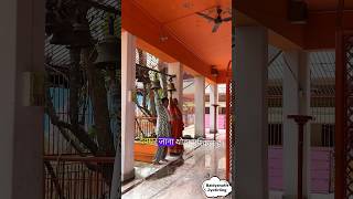 Discover Solution  Baijnath Mahadev Mandir baidyanath jyotirling mandir jyotirling varanasi [upl. by Alexandros]