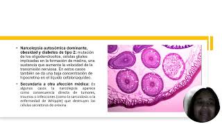 TRABAJO FINAL PSICOPATOLOGIA 1 La Narcolepsia [upl. by Aieken]