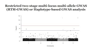 Haplotypebased GWAS analysis using rtmgwas software A quick GWAS tutorial [upl. by Garcon]