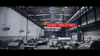 MORANDINI  Target industries [upl. by Teerpnam]